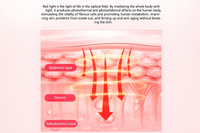 Red Light Therapy Capsule Built for Full Body Treatment, 12000 LEDs, Clamshell Design, Touchscreen Control
